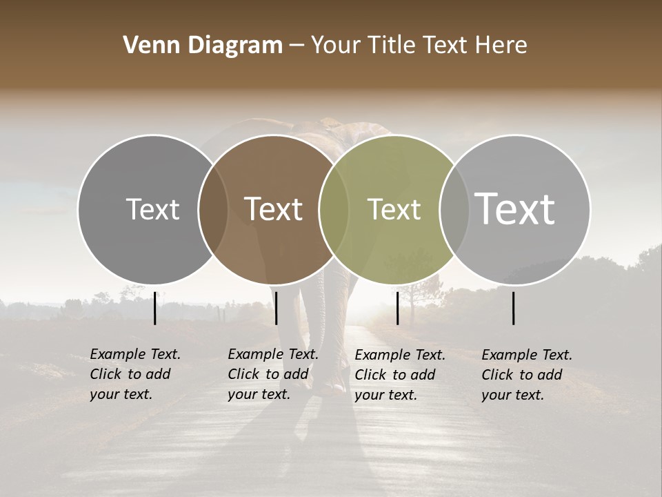 Ears Teeth Tusk PowerPoint Template