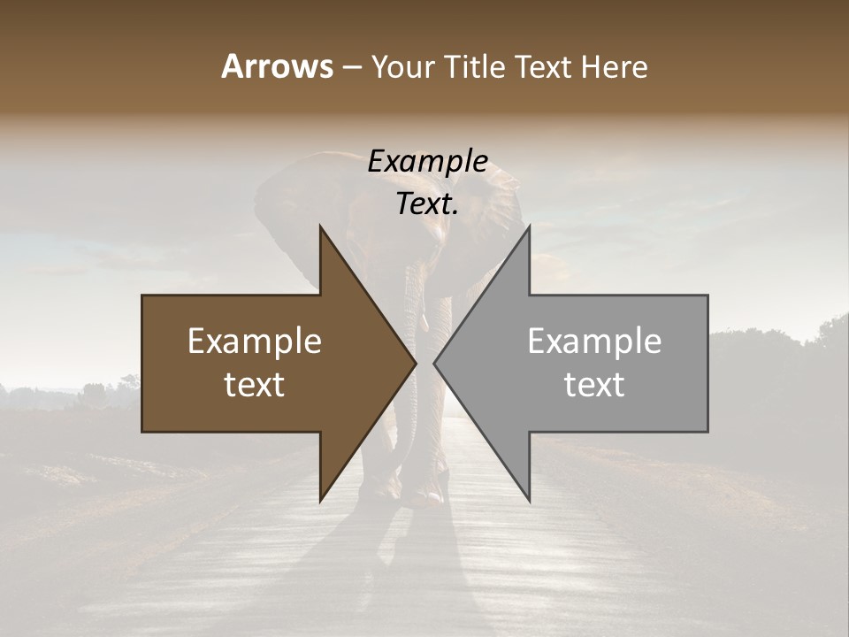 Ears Teeth Tusk PowerPoint Template