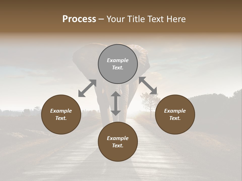 Ears Teeth Tusk PowerPoint Template