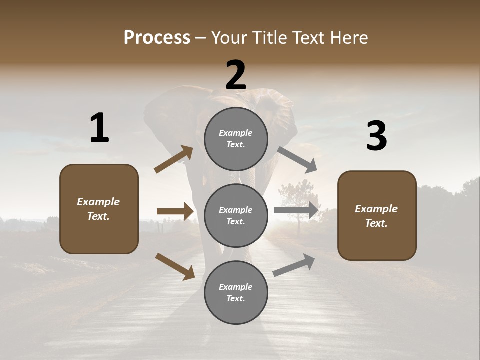 Ears Teeth Tusk PowerPoint Template