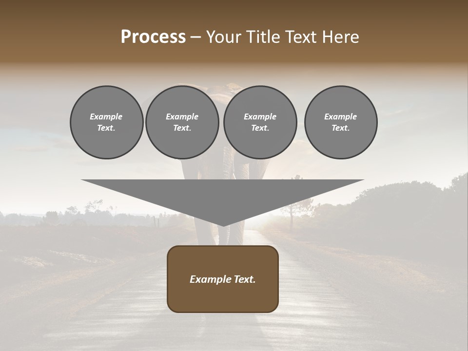 Ears Teeth Tusk PowerPoint Template