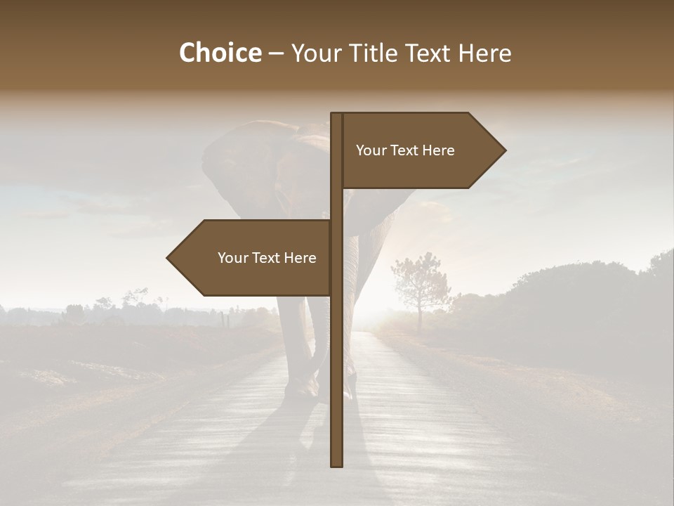 Ears Teeth Tusk PowerPoint Template