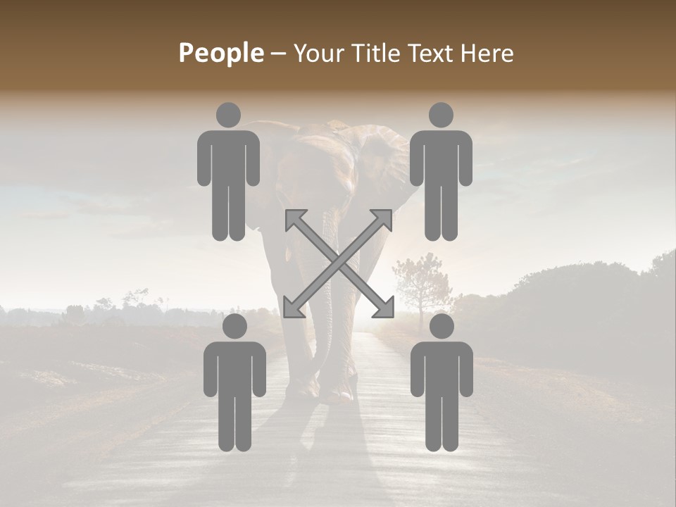 Ears Teeth Tusk PowerPoint Template