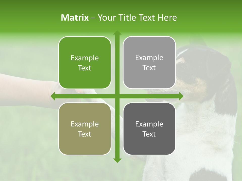 Career Young Job PowerPoint Template