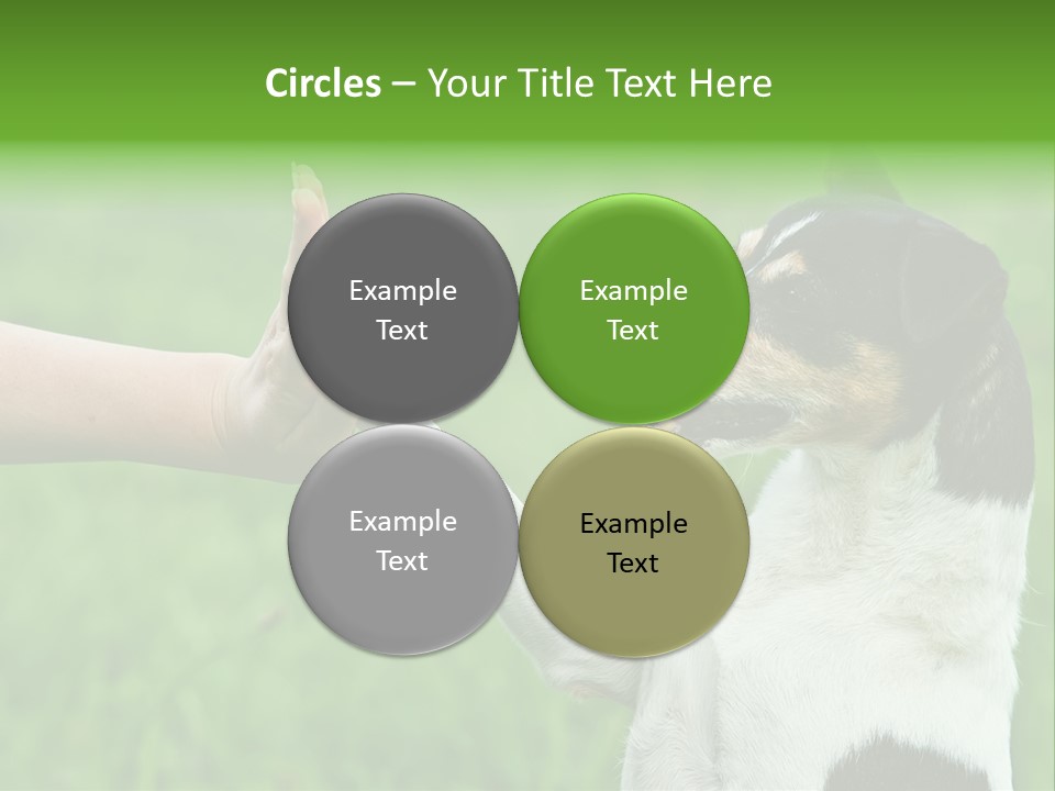 Career Young Job PowerPoint Template