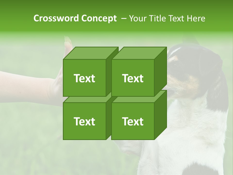 Career Young Job PowerPoint Template