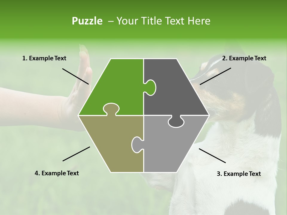 Career Young Job PowerPoint Template