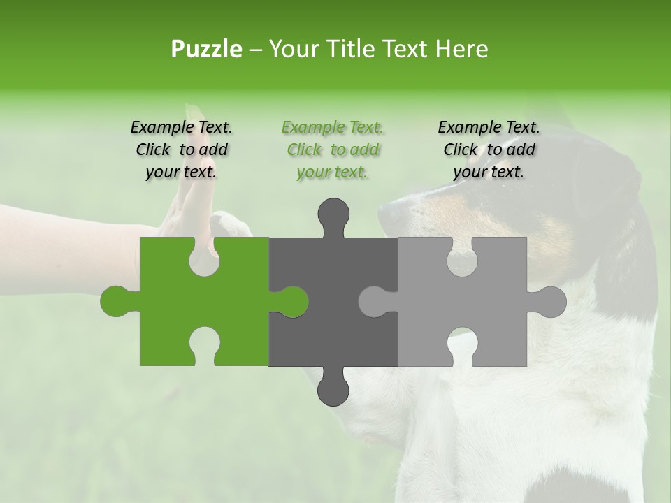 Career Young Job PowerPoint Template