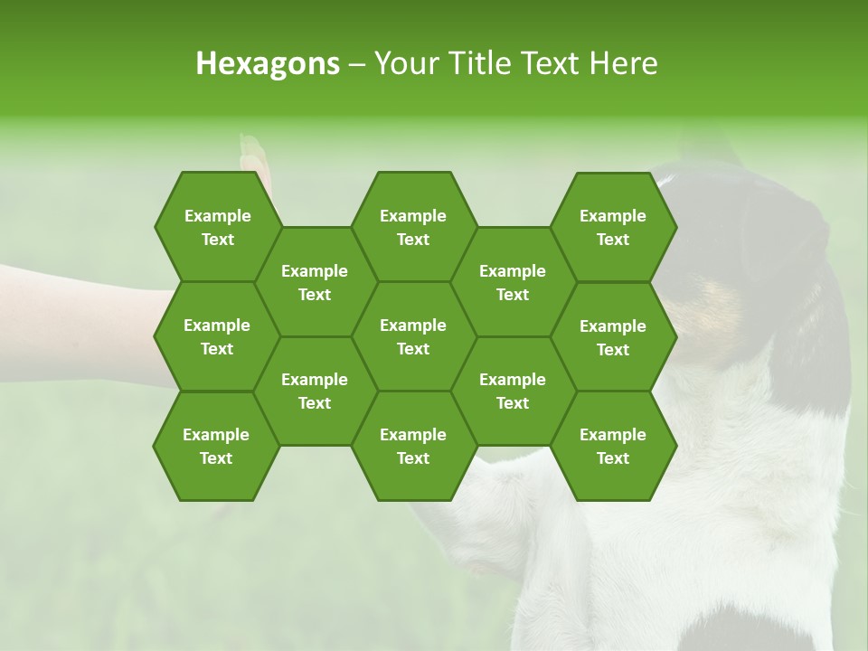 Career Young Job PowerPoint Template