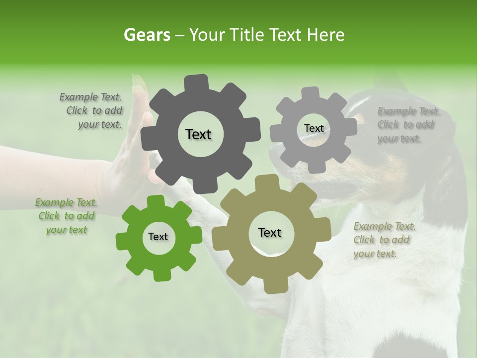 Career Young Job PowerPoint Template