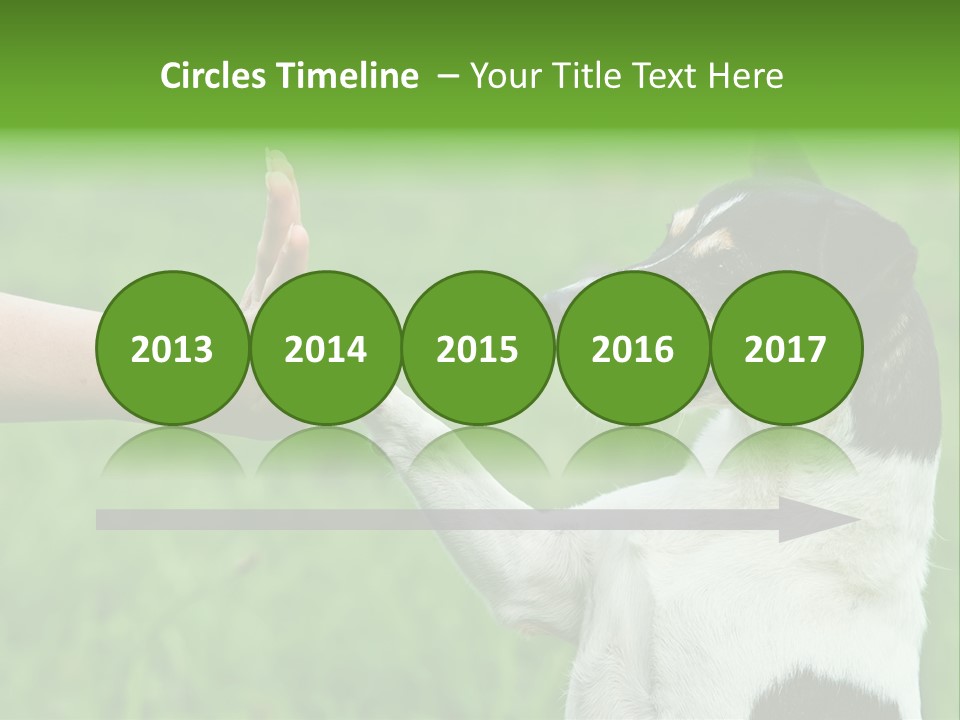 Career Young Job PowerPoint Template