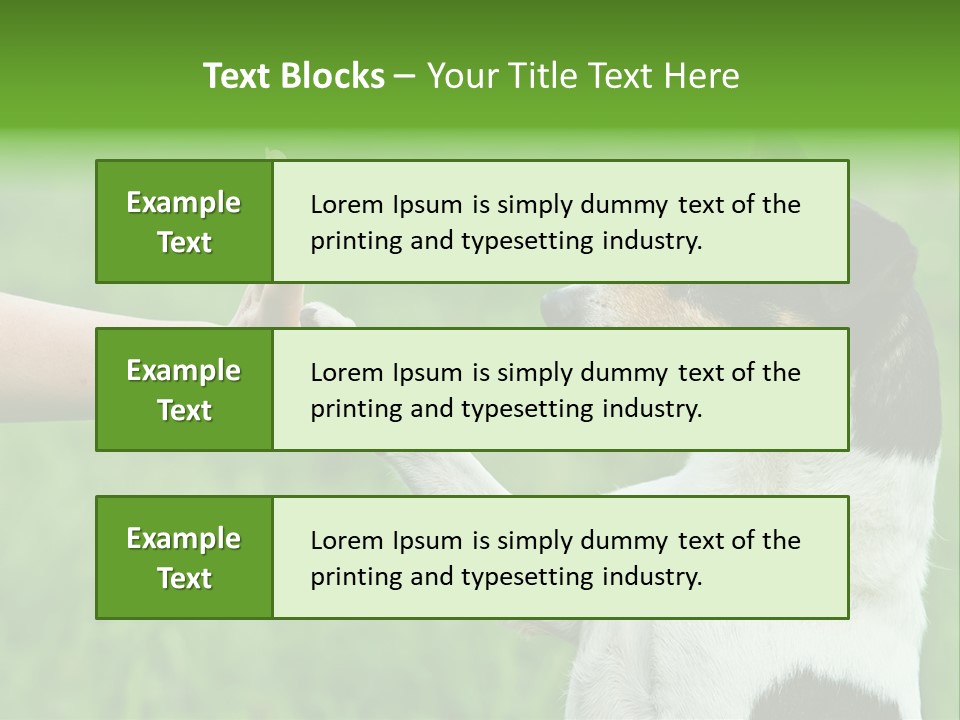 Career Young Job PowerPoint Template