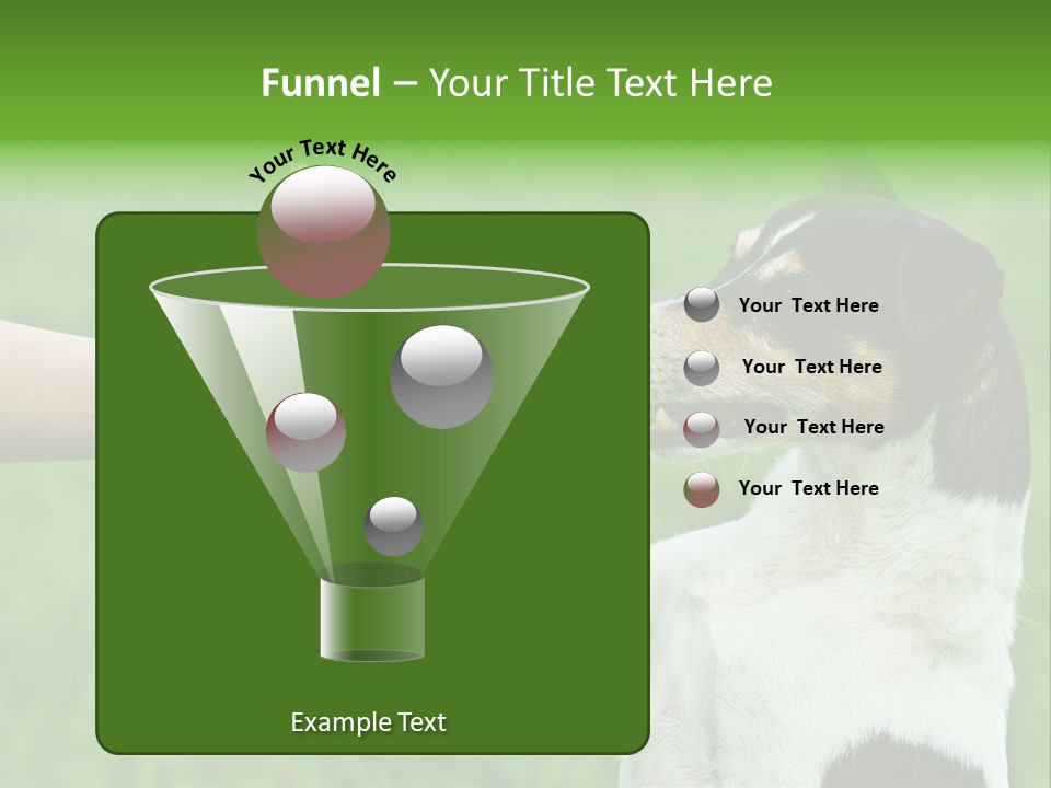 Career Young Job PowerPoint Template