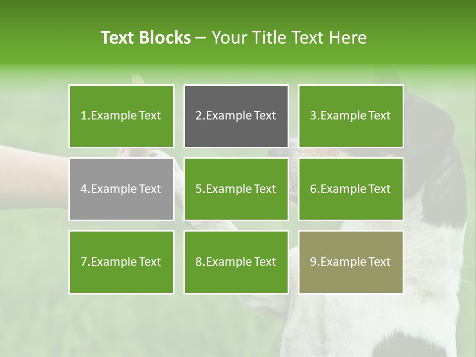 Career Young Job PowerPoint Template