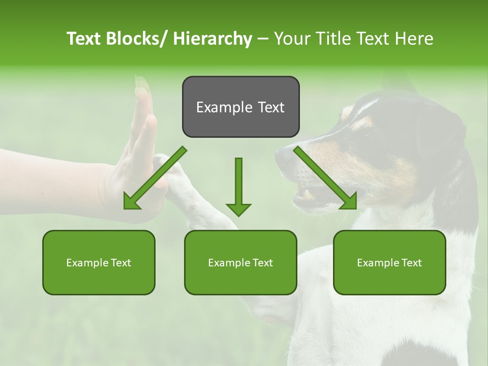 Career Young Job PowerPoint Template