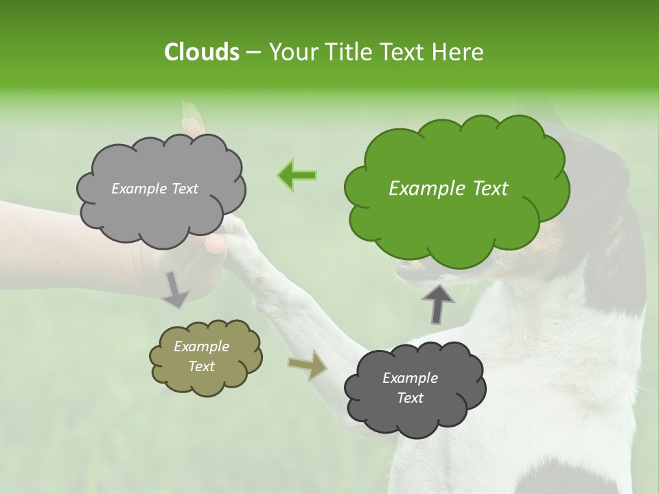Career Young Job PowerPoint Template