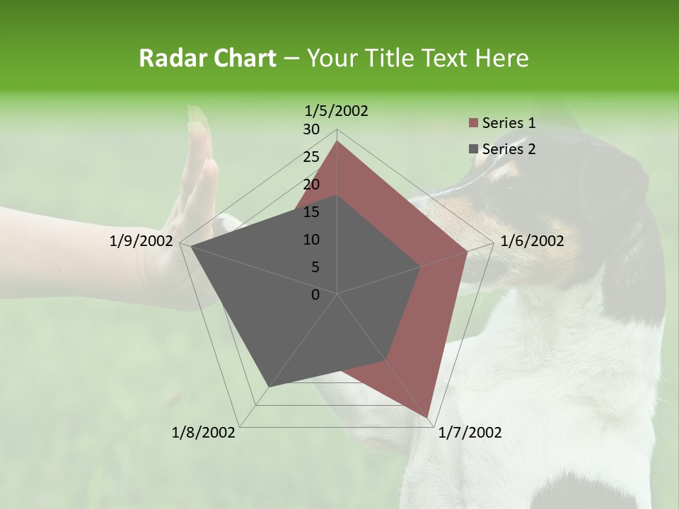 Career Young Job PowerPoint Template