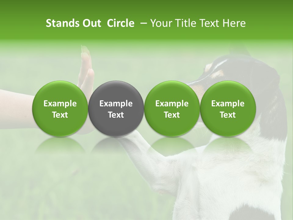 Career Young Job PowerPoint Template