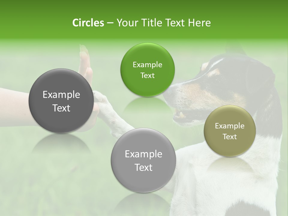 Career Young Job PowerPoint Template