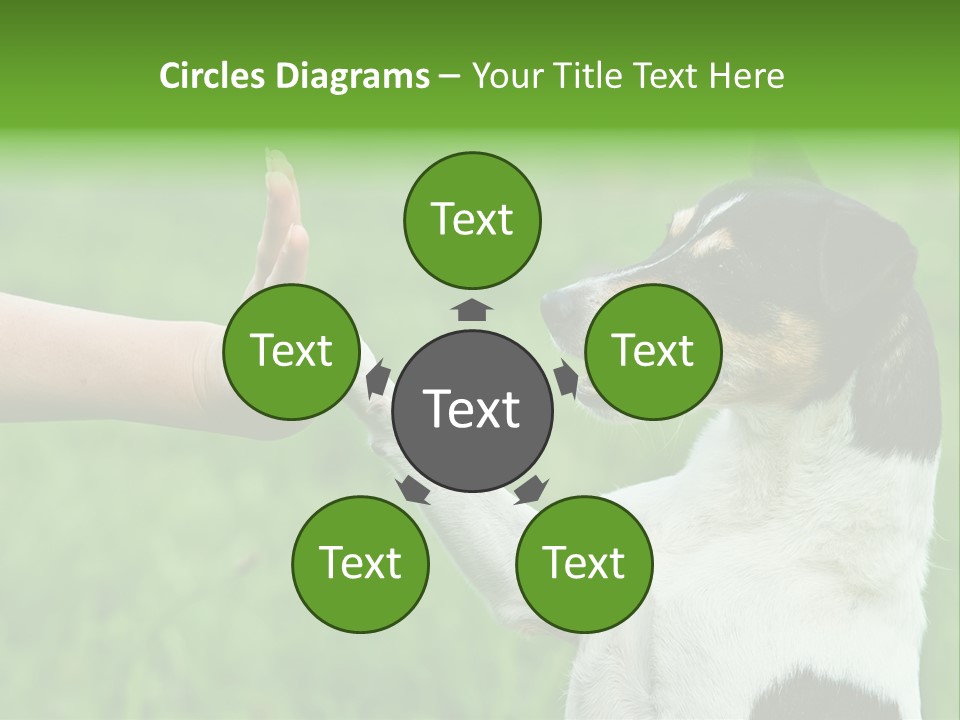 Career Young Job PowerPoint Template