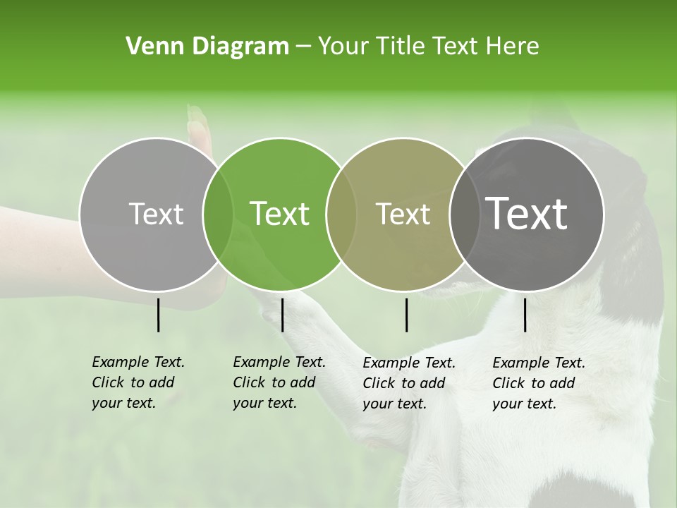 Career Young Job PowerPoint Template