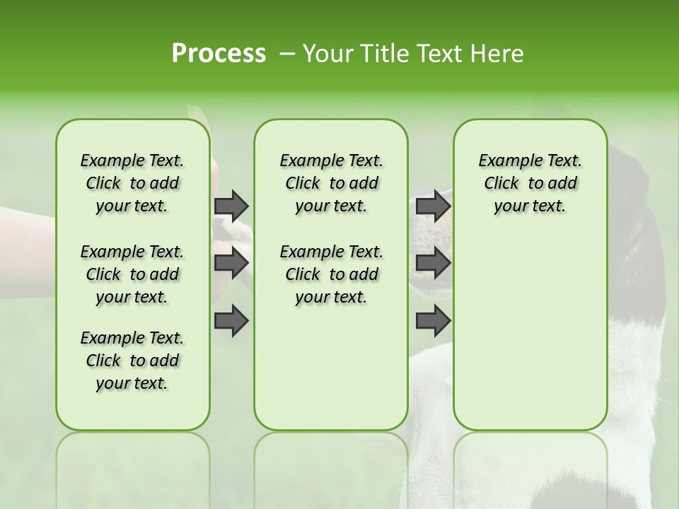 Career Young Job PowerPoint Template