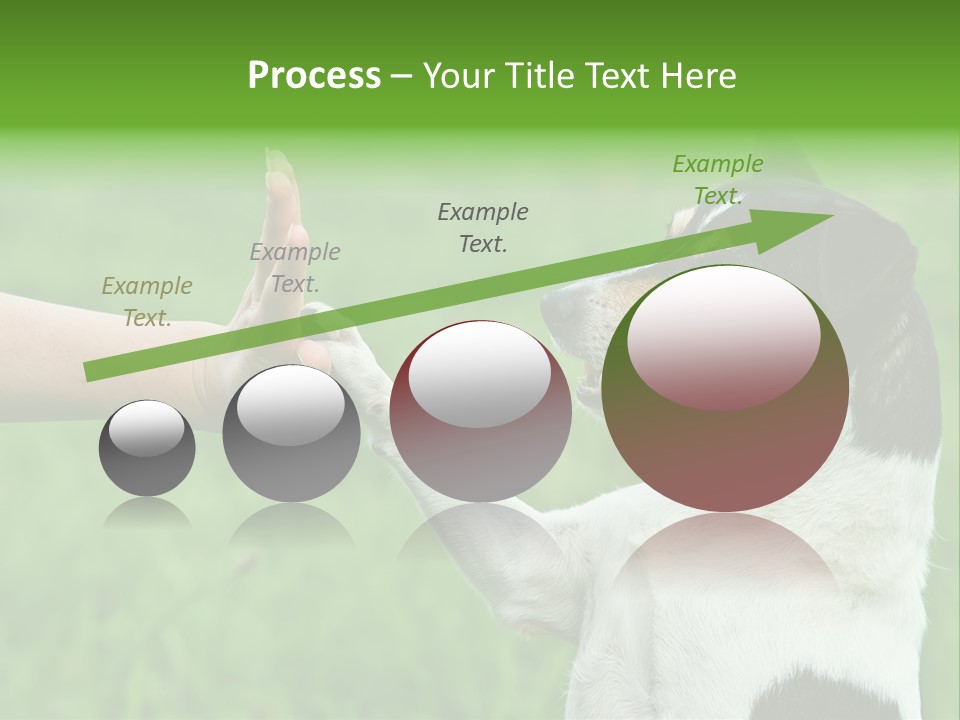 Career Young Job PowerPoint Template
