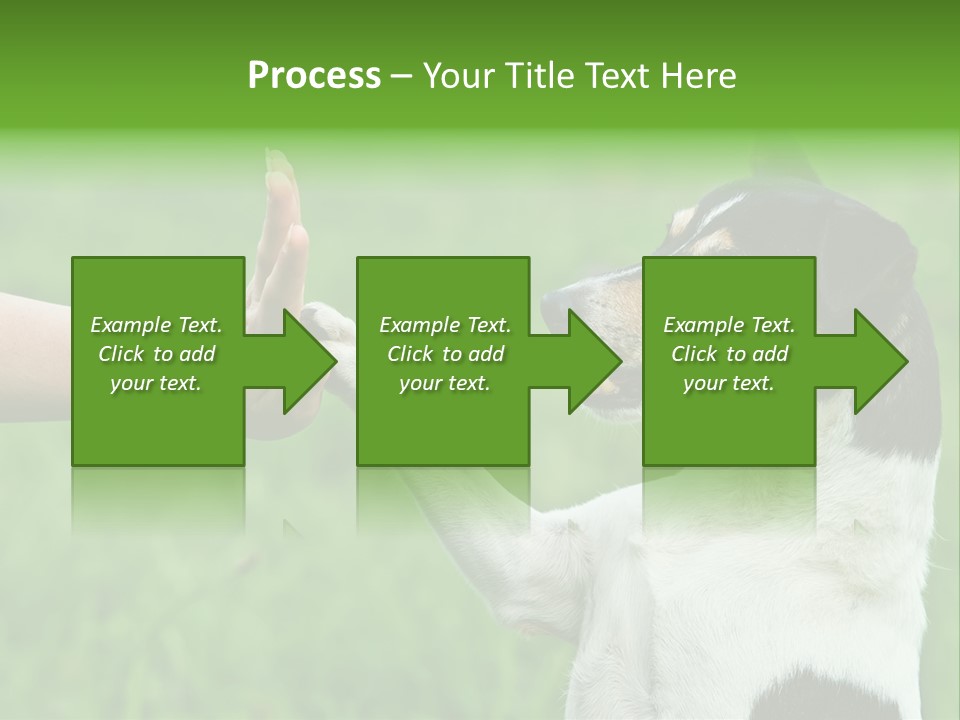 Career Young Job PowerPoint Template