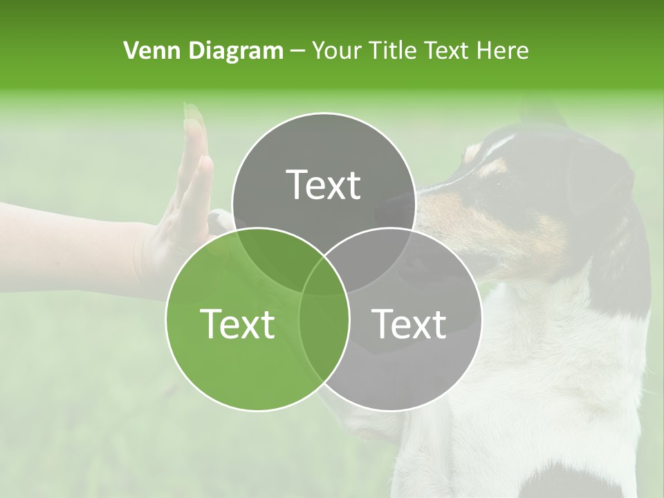 Career Young Job PowerPoint Template