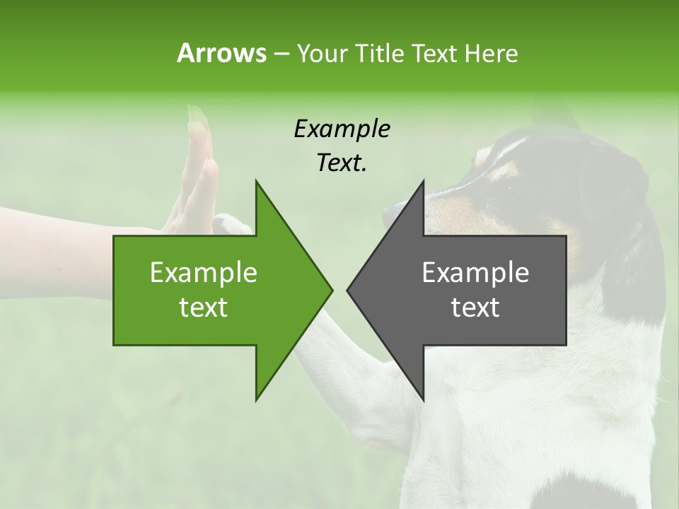 Career Young Job PowerPoint Template