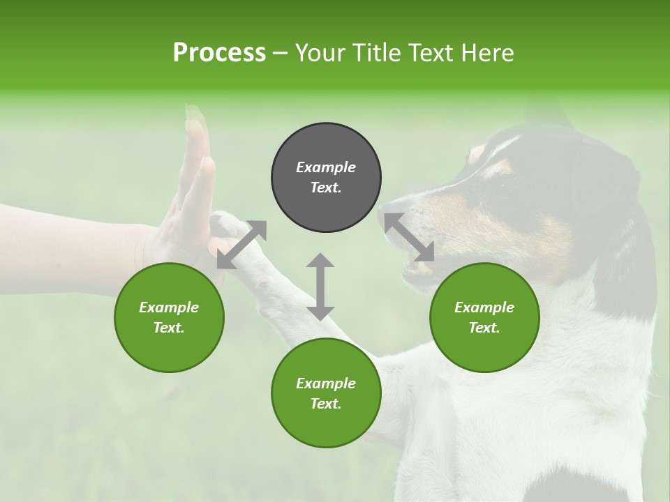 Career Young Job PowerPoint Template