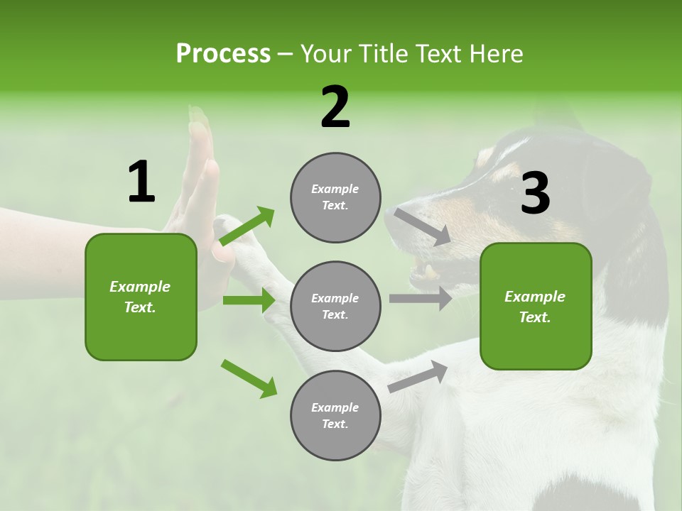 Career Young Job PowerPoint Template