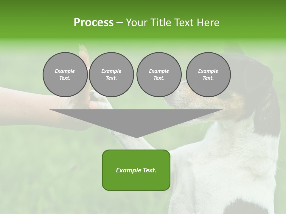 Career Young Job PowerPoint Template