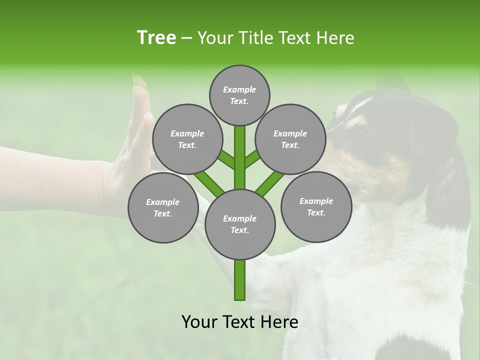 Career Young Job PowerPoint Template