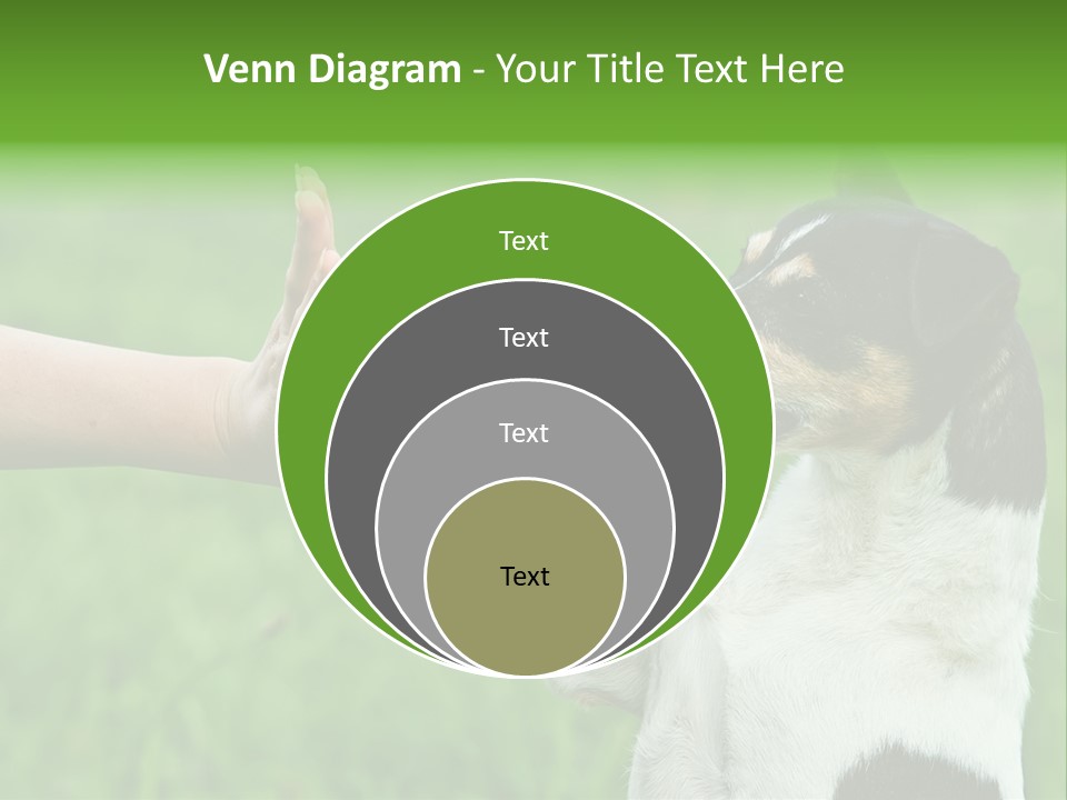 Career Young Job PowerPoint Template