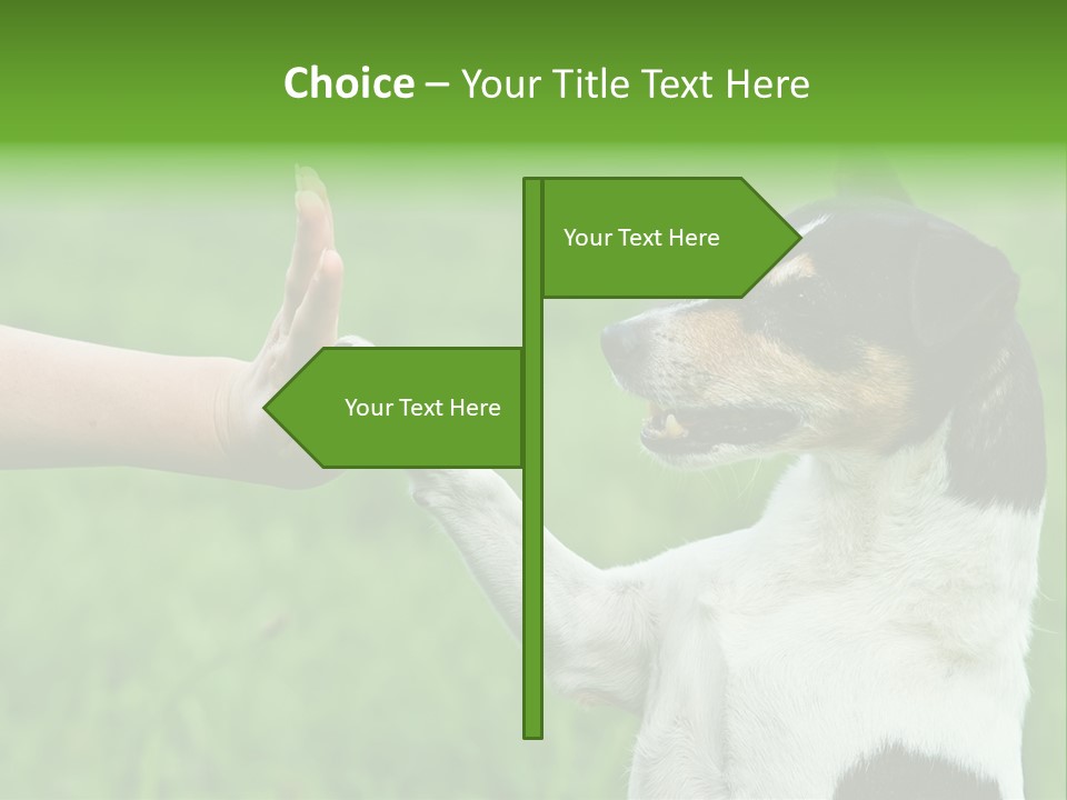 Career Young Job PowerPoint Template