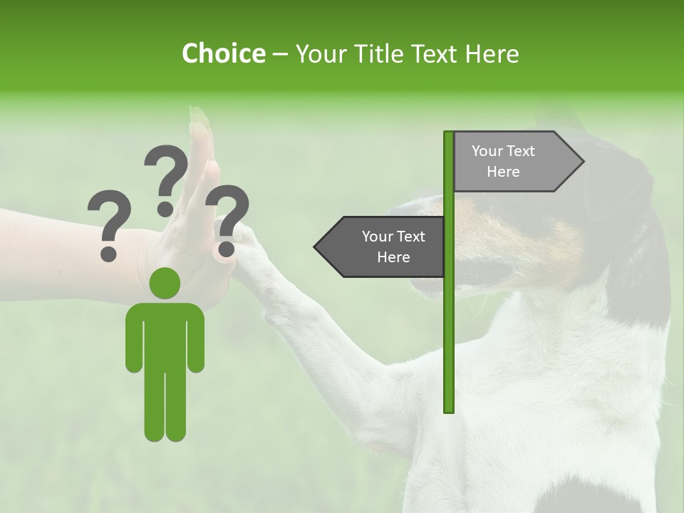 Career Young Job PowerPoint Template