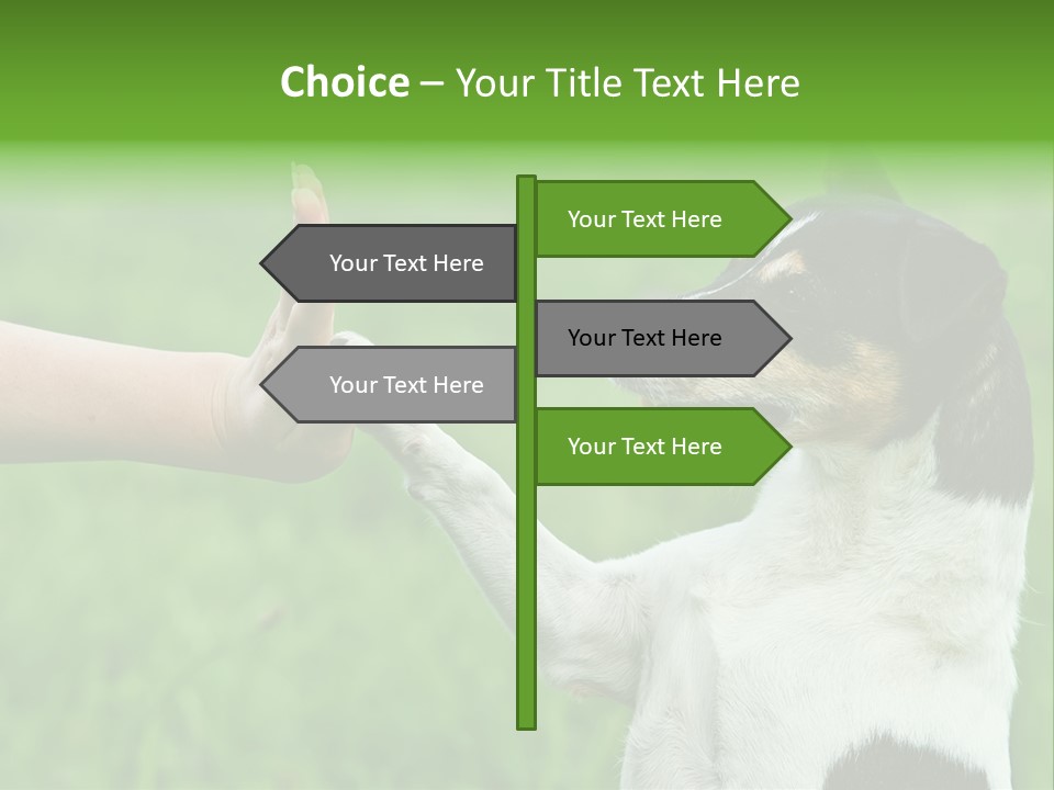 Career Young Job PowerPoint Template