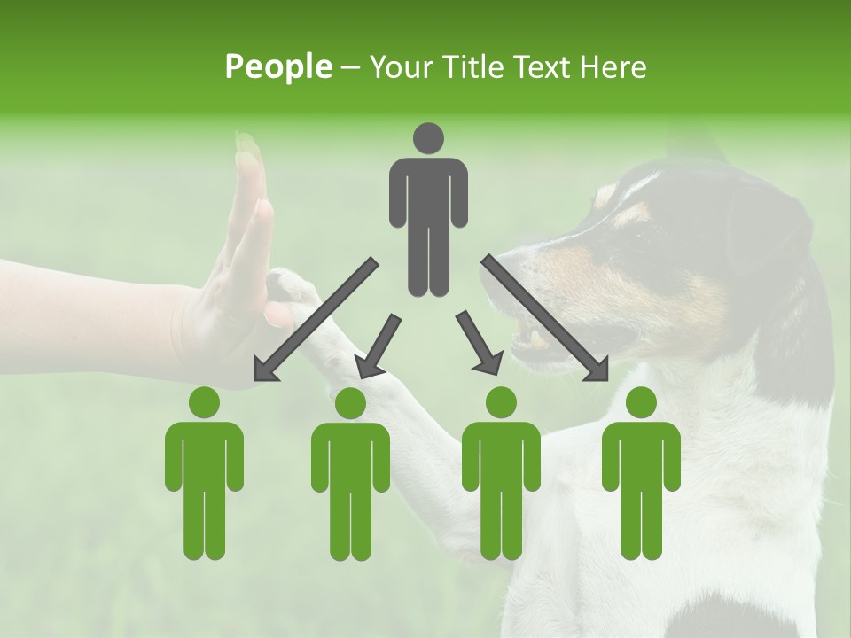 Career Young Job PowerPoint Template