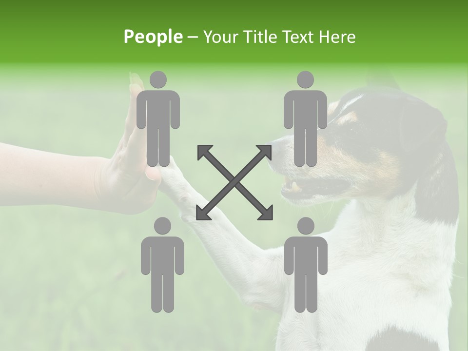 Career Young Job PowerPoint Template