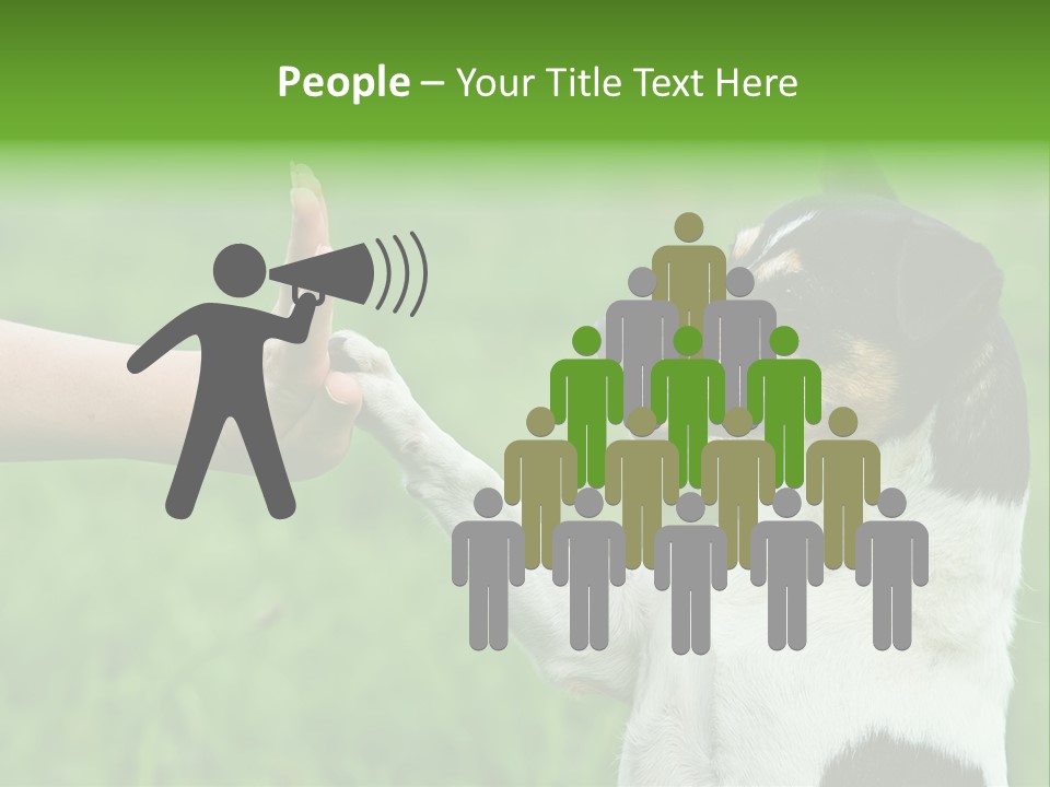 Career Young Job PowerPoint Template