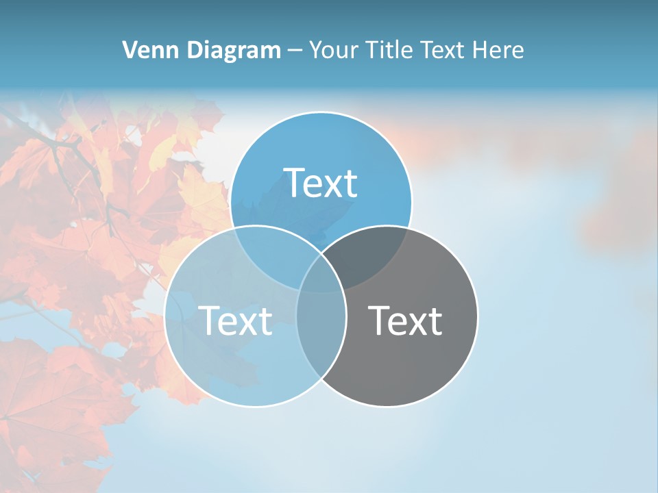Foliage Maple Color PowerPoint Template