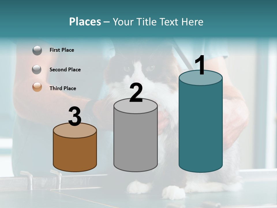 Health Stethoscope Doctor PowerPoint Template