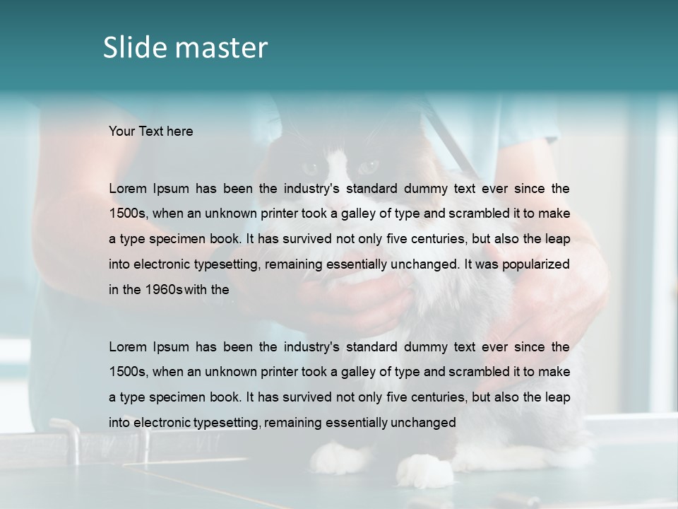 Health Stethoscope Doctor PowerPoint Template