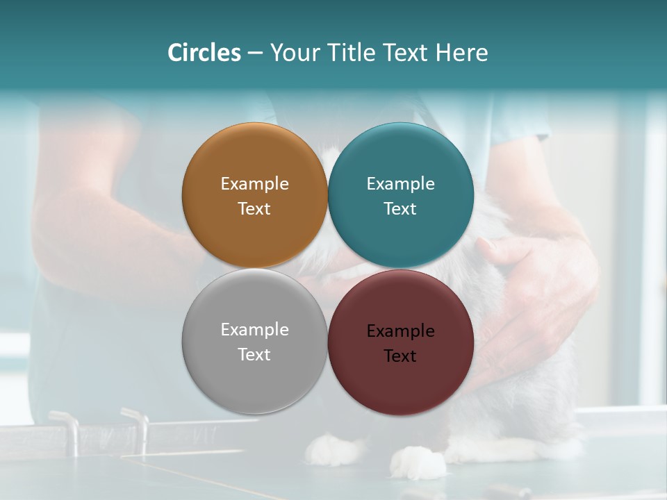 Health Stethoscope Doctor PowerPoint Template