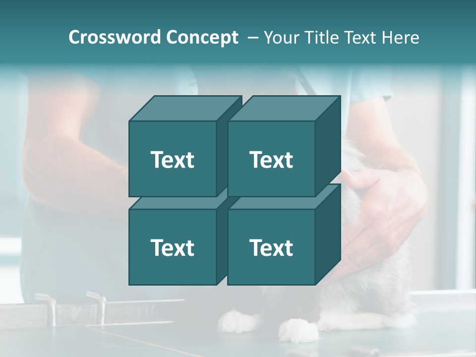 Health Stethoscope Doctor PowerPoint Template