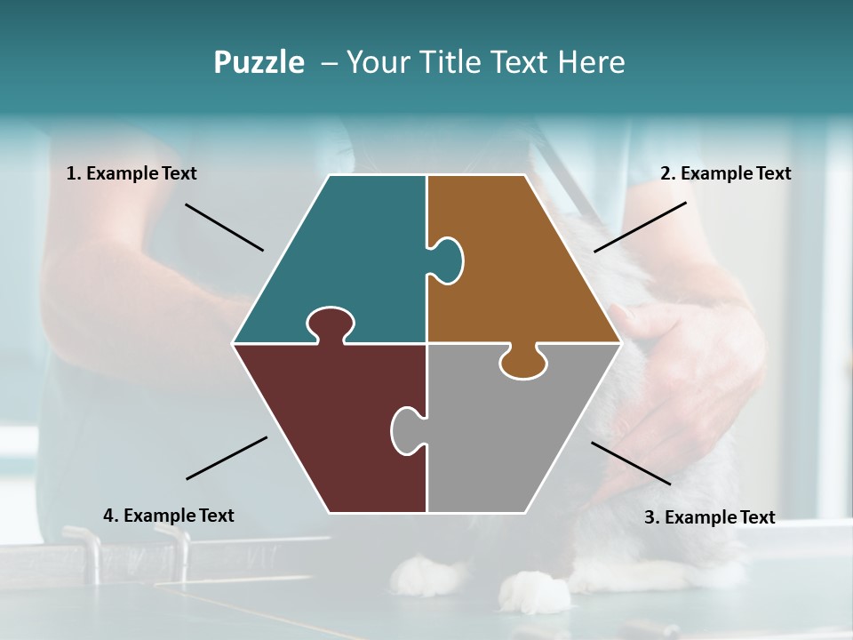 Health Stethoscope Doctor PowerPoint Template