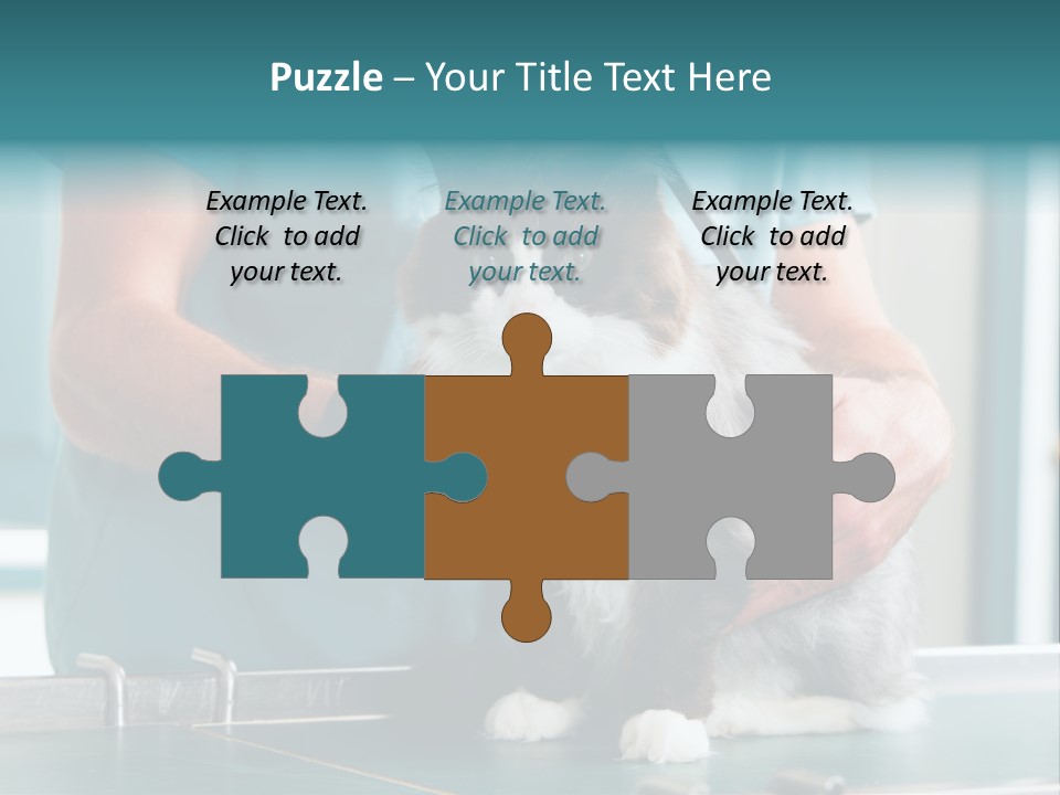 Health Stethoscope Doctor PowerPoint Template