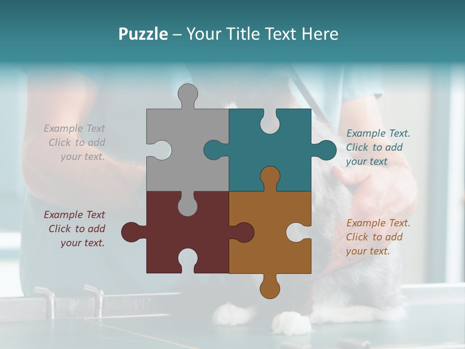 Health Stethoscope Doctor PowerPoint Template