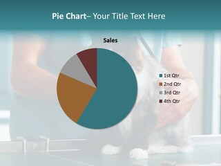 Health Stethoscope Doctor PowerPoint Template